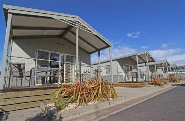 Apollo Bay Holiday Park Rum bild
